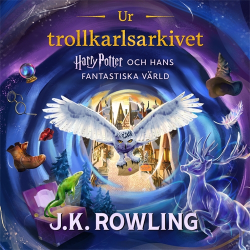 Cover image for Ur trollkarlsarkivet