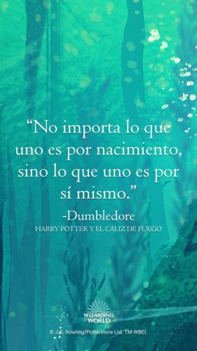 Quote on a green background. The text is in Spanish and reads “It matters not what someone is born, but what they grow to be.” –Dumbledore